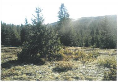 Ekskluzivno gorsko zemljišče za lovsko kmetijo 19720 m sredi neokrnjene narave Durmitor