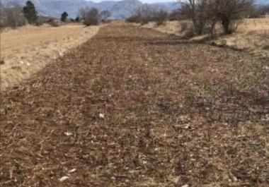 Gran terreno de 218 000 m2 en Grahovo para agricultura