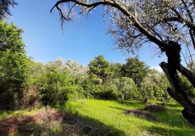 1350 m3 οικόπεδο κοντά στο Tivat και το Kotor προς πώληση