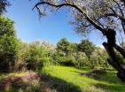 terrain de 1350 m3 près de Tat et Kotor à vendre